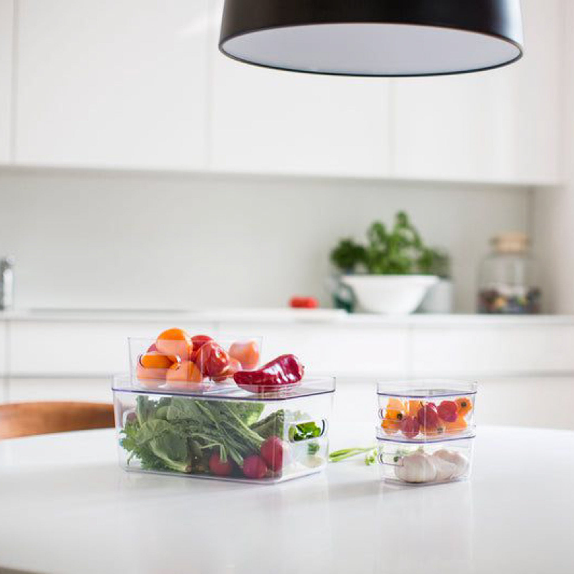 Køleskab SmartStore låg til køleskabskasse str xs aestetisk ele living