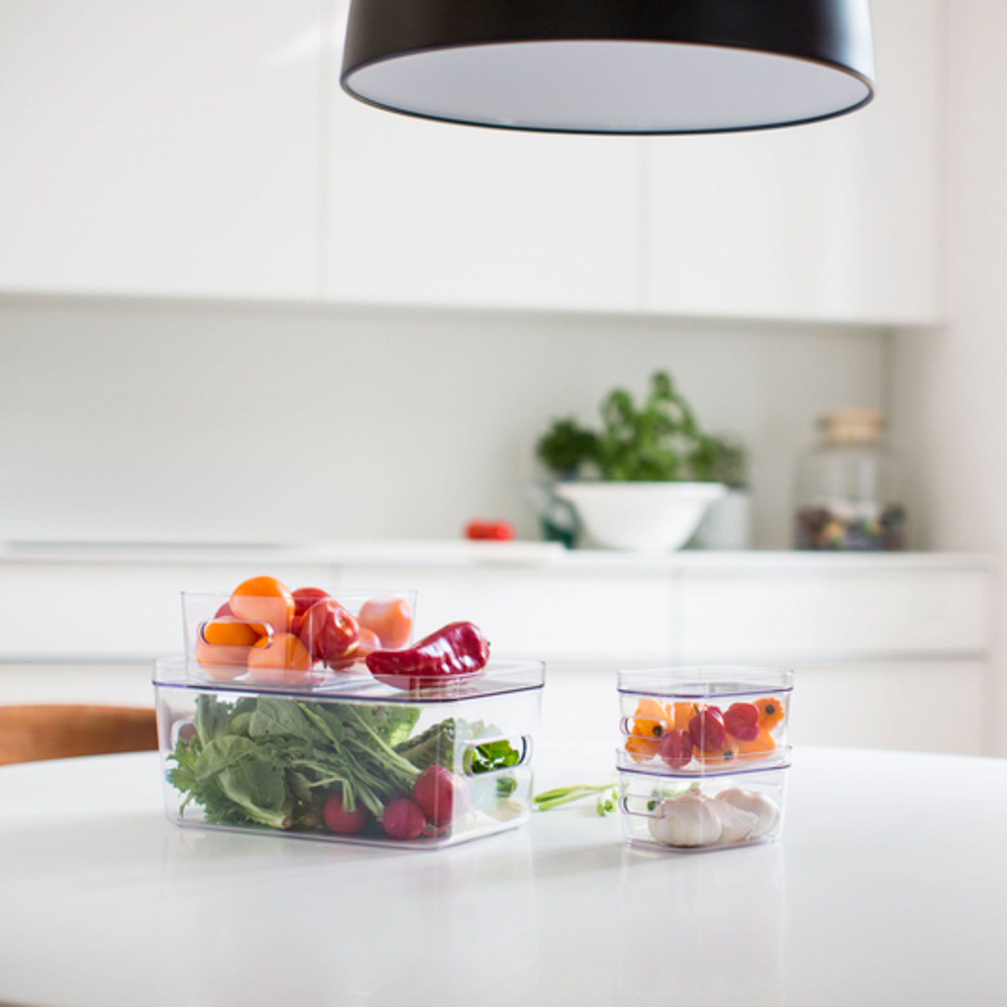 Køleskab SmartStore køleskabskasse str xs aestetisk ele living